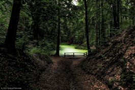 hs19-6811_1200x800-topaz1