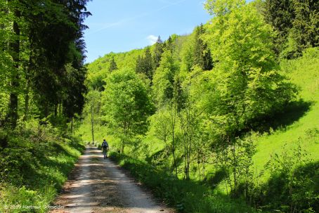 1. AWA 2019 Münsinger Alb