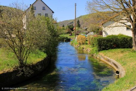 2. AWA 2020 Schmiechtal