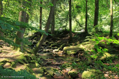 2. AWA 2019 Monbachtal